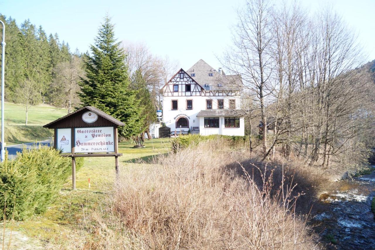Gasthof Und Pension Hammerschaenke Wildenthal Esterno foto