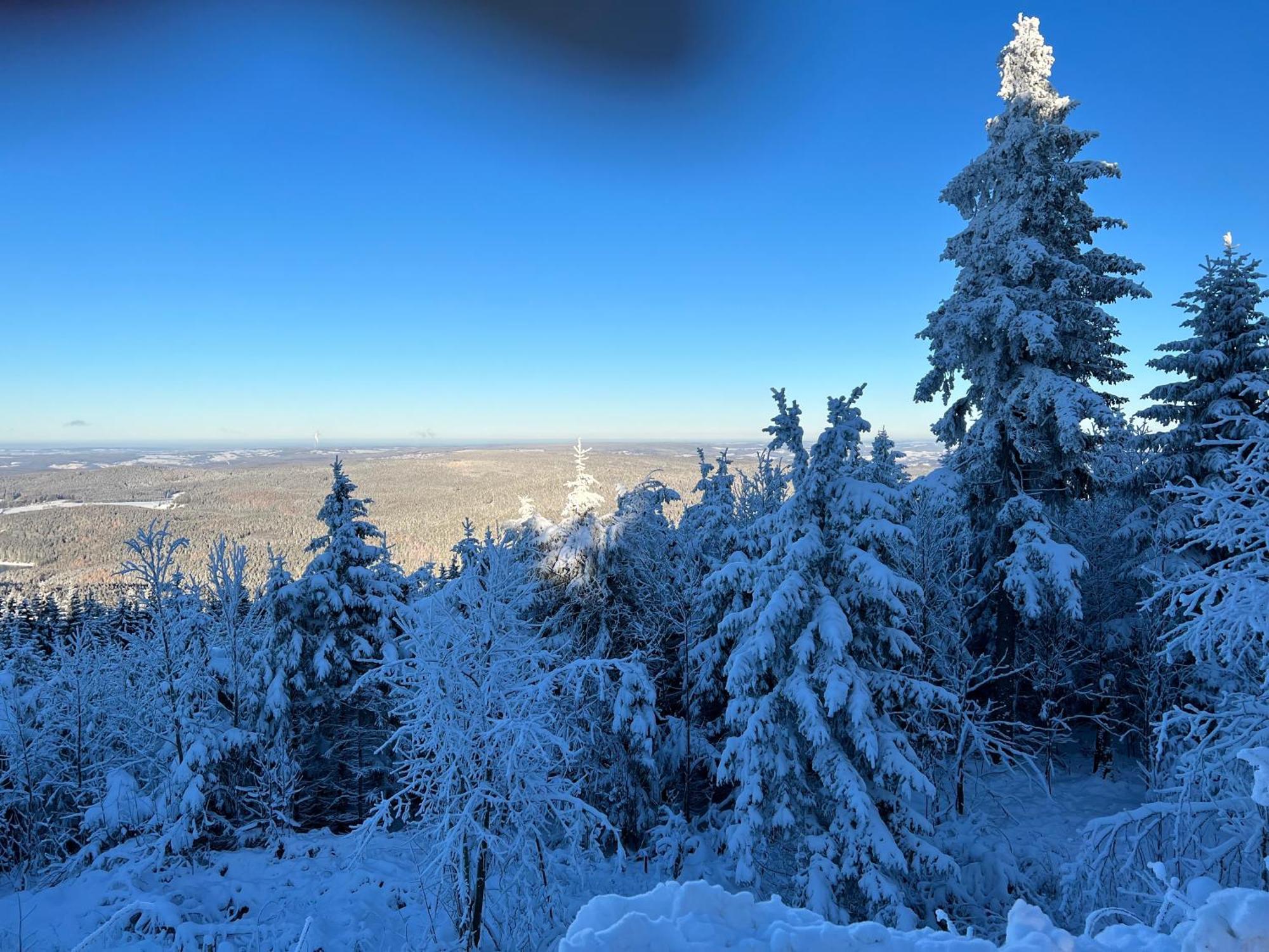 Gasthof Und Pension Hammerschaenke Wildenthal Esterno foto