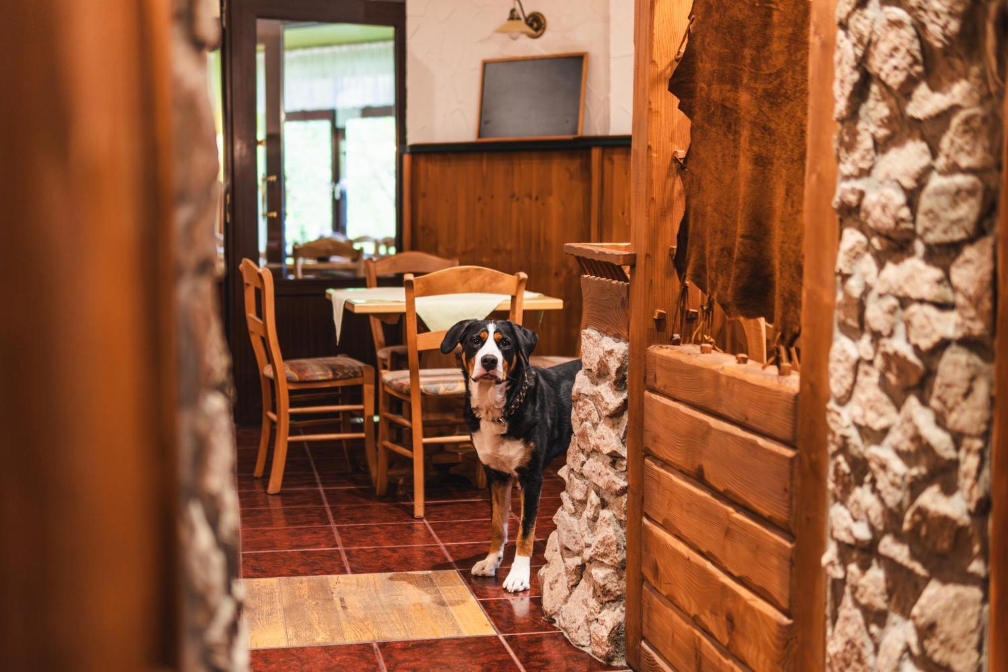 Gasthof Und Pension Hammerschaenke Wildenthal Esterno foto